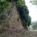 Castello di Vicorati Londa (1)